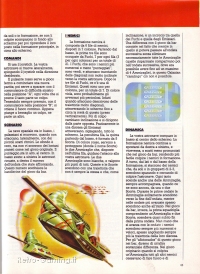 Videogiochi Gruppo Editoriale Jackson numero 13 pagina 65